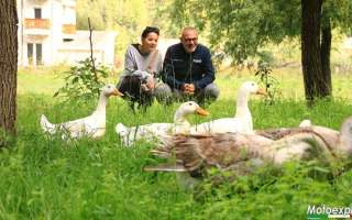Albania-settembre-22-31
