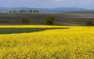 Ardenne-aprile-2024-38