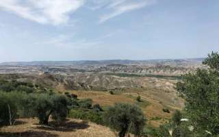 Benvenuti-al-sud-maggio-22-36