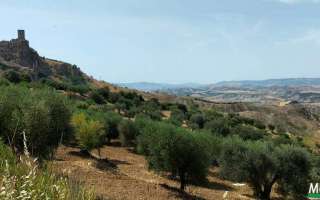 Benvenuti-al-sud-maggio-22-42