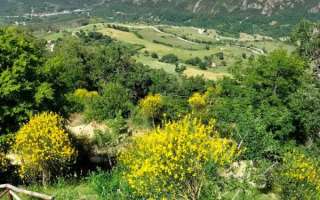 Benvenuti-al-sud-maggio-22-53