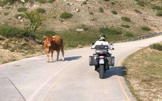 Grecia-20-luglio-22-88