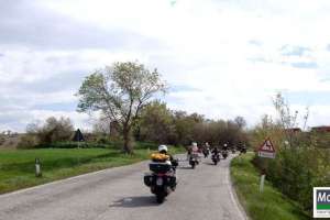 Marche: Marzo 2013