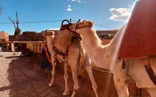 Marocco-aprile-maggio-2023-1-1015