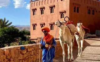 Marocco-aprile-maggio-2023-1-1025