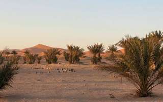 Marocco-aprile-maggio-2023-1-1026