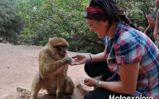 2019-10-marocco-123