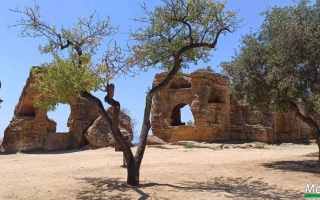Sicilia-terra-del-sole-dal-17-al-24-luglio-2021-62
