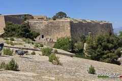 Andalusia-aprile-2026-3