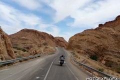 Tunisia-11-aprile-2026-11