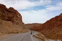 Tunisia-11-aprile-2026-13