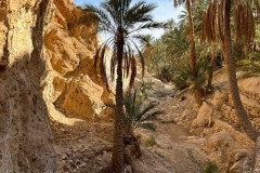 Tunisia-11-aprile-2026-8