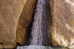 Tunisia-11-aprile-2026-9