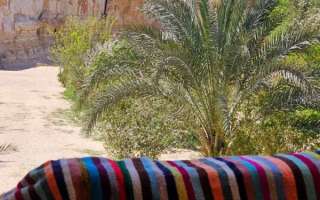 Tunisia-18-marzo-2023-32
