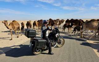 Tunisia-18-marzo-2023-34