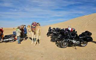 Tunisia-18-marzo-2023-36
