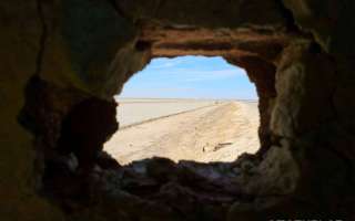 Tunisia-18-marzo-2023-40