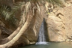 tunisia-24-aprile-2026-11