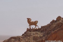 tunisia-24-aprile-2026-16