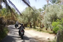 tunisia-24-aprile-2026-19