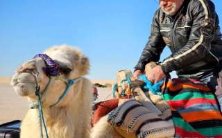 1-tunisia-tl-040323-25