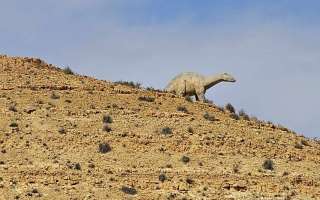 1-tunisia-tl-040323-43