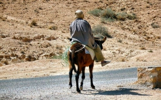 motoexplora-tunisia-2010-04-30