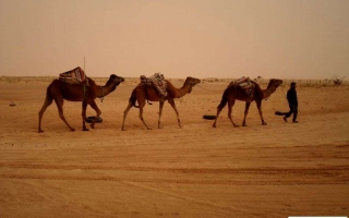 motoexplora-viaggio-in-tunisia-aprile-2013-87