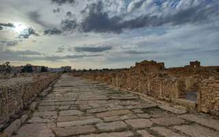 Tunisia-0423-1-31