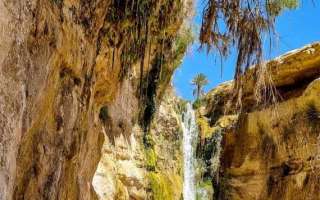 Tunisia-0423-1-40