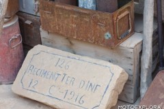 tunisia-aprile-2025-w-1