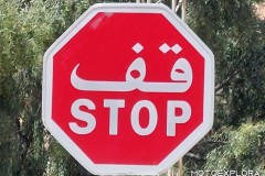 tunisia-aprile-2025-w-14