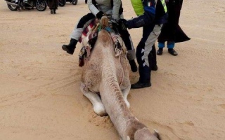 motoexplora-viaggio-in-tunisia-capodanno-2015-83