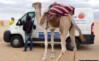 motoexplora-viaggio-in-tunisia-capodanno-2015-85