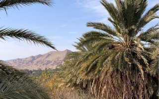 2018-12-31-capodanno-tunisia-69