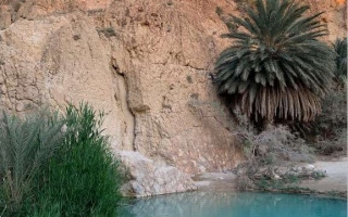 2018-12-31-capodanno-tunisia-79