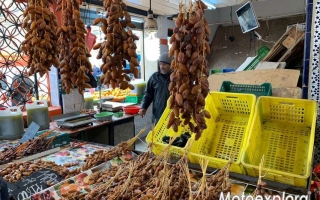 Motoexplora_capodanno_Tunisia_2020-103