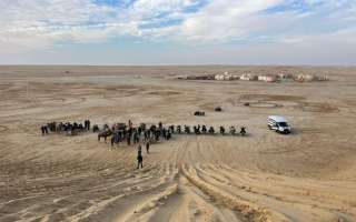 Tunisia-capodanno-24-wa-30