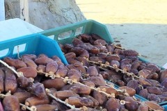 tunisia-capodanno-2026-4