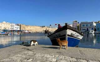 Tunisia-3-dicembre-2022-11
