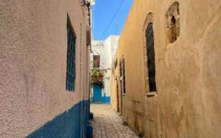 Tunisia-3-dicembre-2022-13