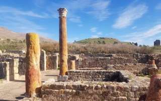 Tunisia-3-dicembre-2022-71