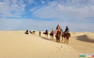 2018-02-tunisia-44