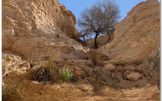 Motoexplora_Tunisia_febbraio_2020-120
