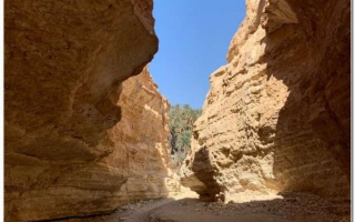 Motoexplora_Tunisia_febbraio_2020-126