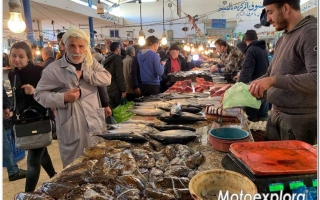 Motoexplora_Tunisia_febbraio_2020-538