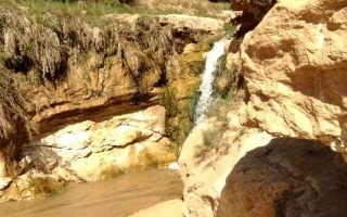 viaggio-in-tunisia-2014-26