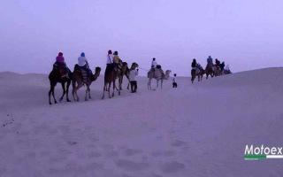 2019-04-tunisia-20-aprile-31