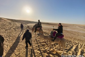 Tunisia, Novembre 2025