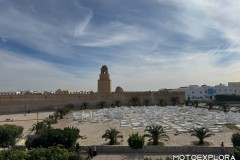 Tunisia-novembre-2025-2
